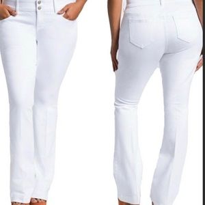 Torrid Denim Flare Jeans